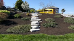 Re-Landscaping Project (back yard)