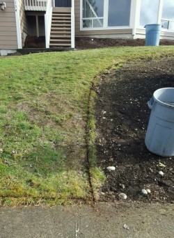 Creating a new trim around the flower bed