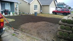 Sod Replacement/ Irrigation installed