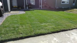 Front yard finished....