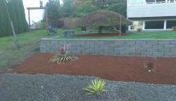 Finished product after sod placement, irrigation, beauty bark, gravel and plants...