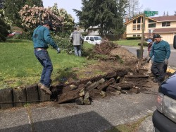 Railroad ties removal